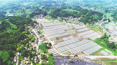 rb88随行版-rb88手机随行版登录入口