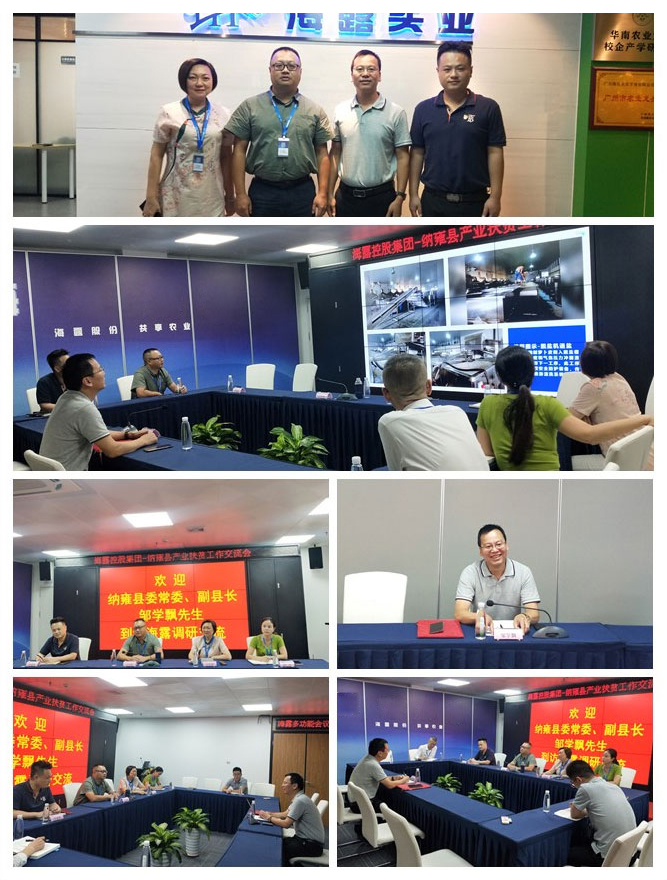 rb88随行版-rb88手机随行版登录入口