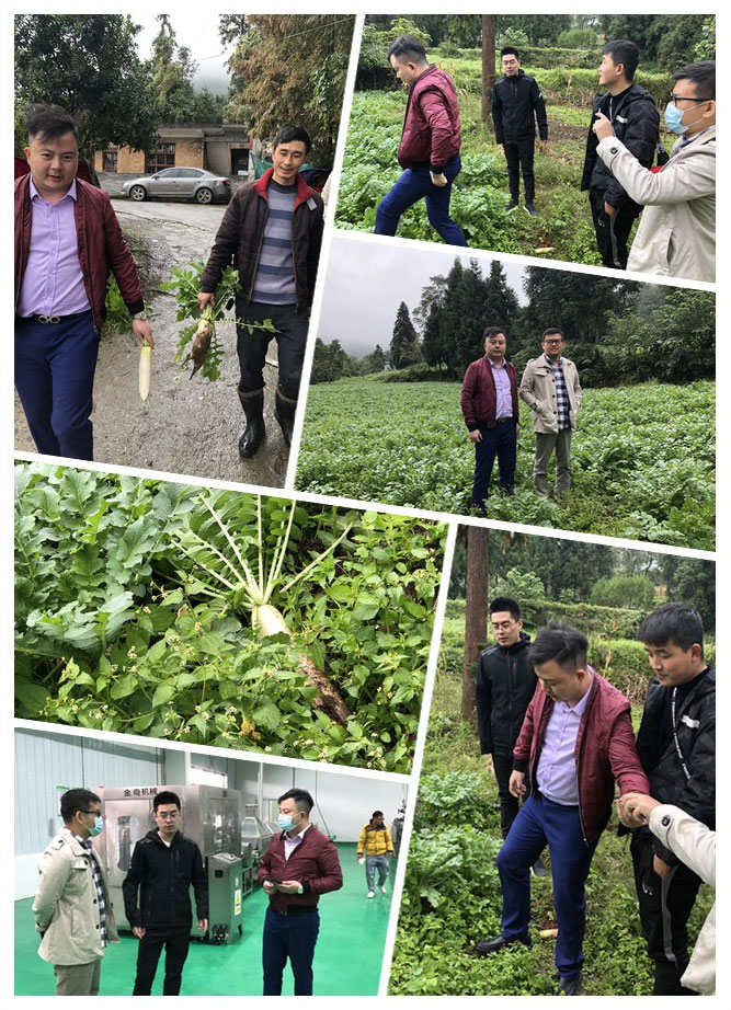 rb88随行版-rb88手机随行版登录入口