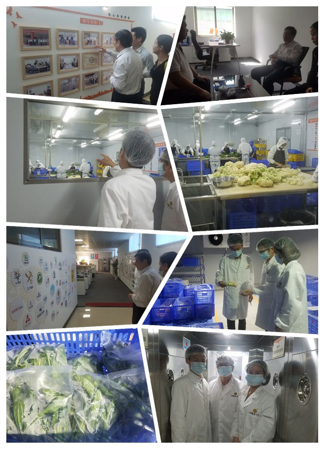 rb88随行版-rb88手机随行版登录入口