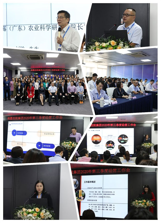 rb88随行版-rb88手机随行版登录入口