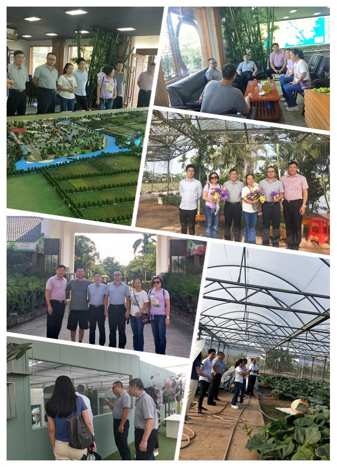 rb88随行版-rb88手机随行版登录入口