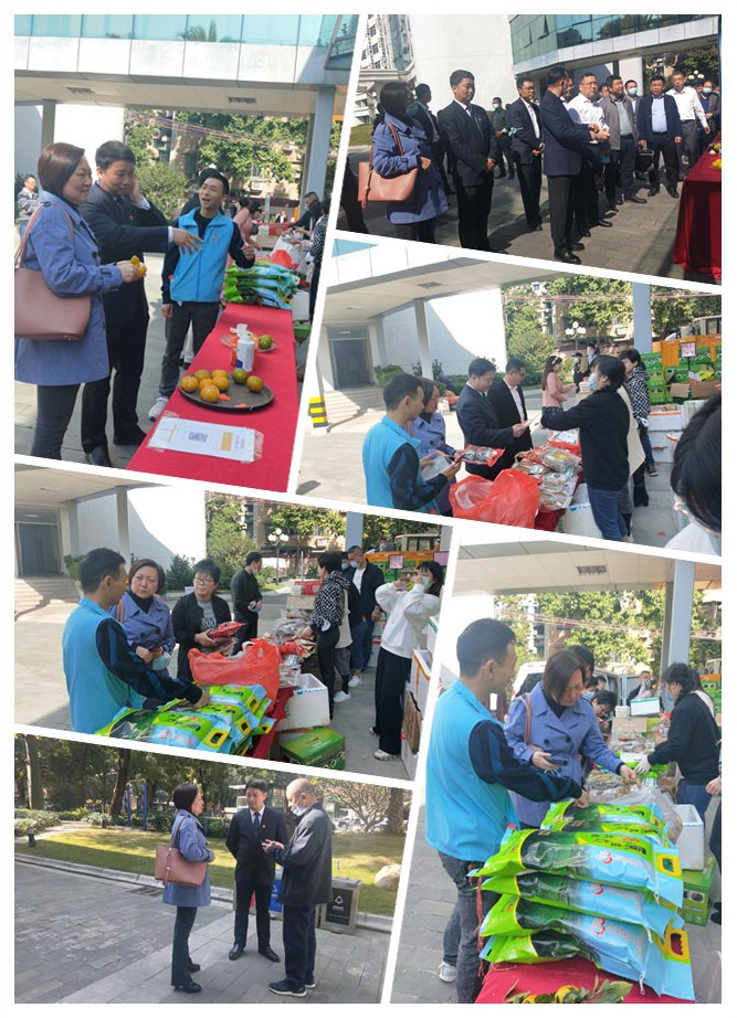 rb88随行版-rb88手机随行版登录入口