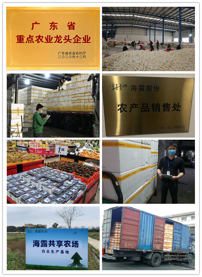 rb88随行版-rb88手机随行版登录入口