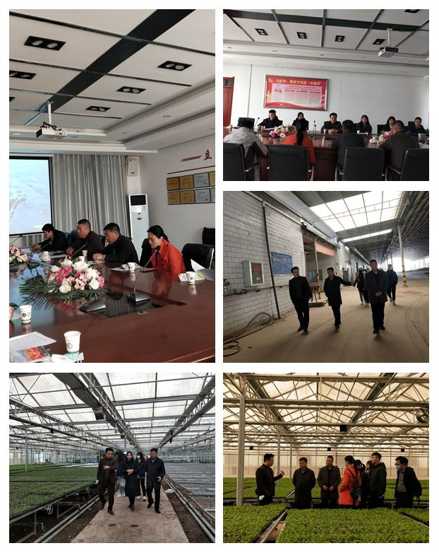 rb88随行版-rb88手机随行版登录入口