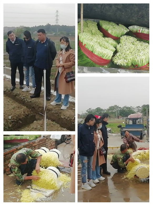 rb88随行版-rb88手机随行版登录入口