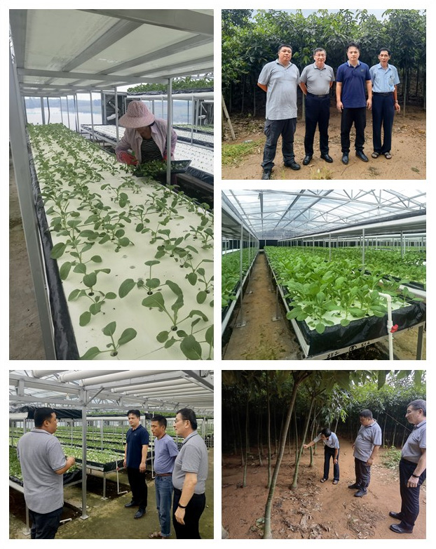 rb88随行版-rb88手机随行版登录入口