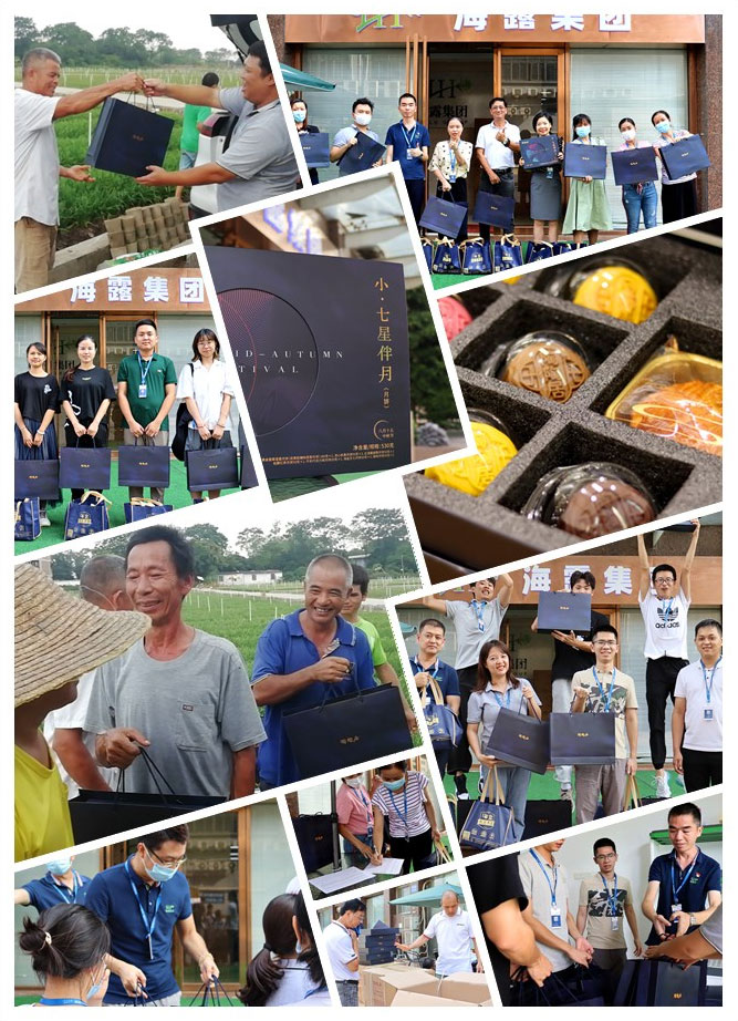 rb88随行版-rb88手机随行版登录入口