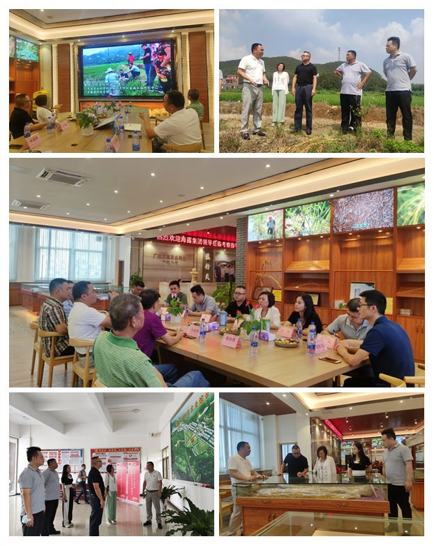 rb88随行版-rb88手机随行版登录入口