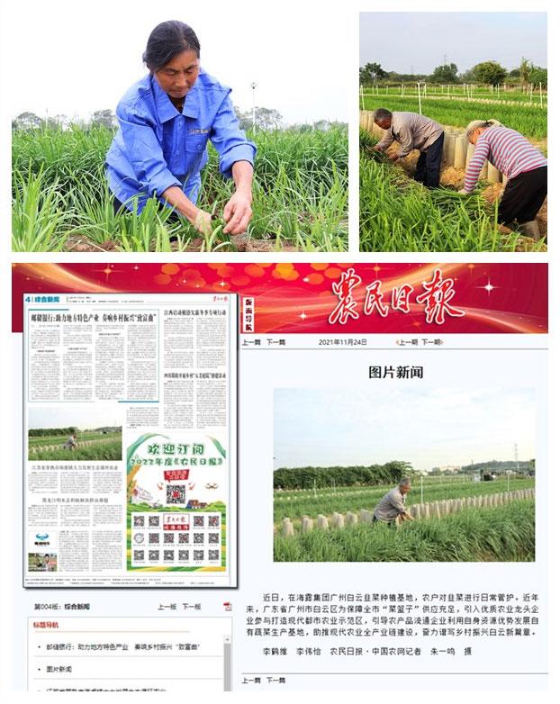 rb88随行版-rb88手机随行版登录入口