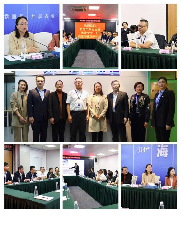 rb88随行版-rb88手机随行版登录入口