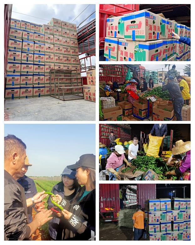 rb88随行版-rb88手机随行版登录入口