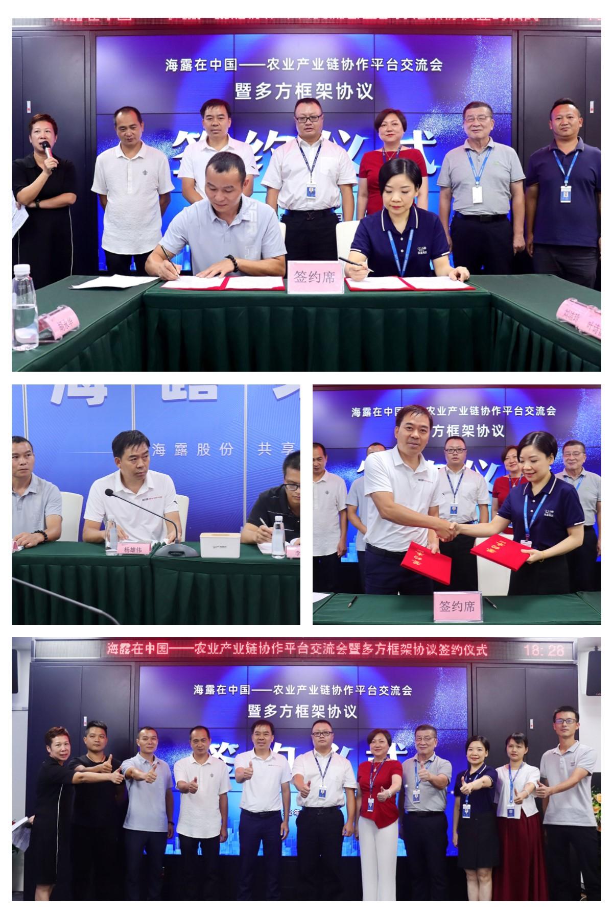 rb88随行版-rb88手机随行版登录入口