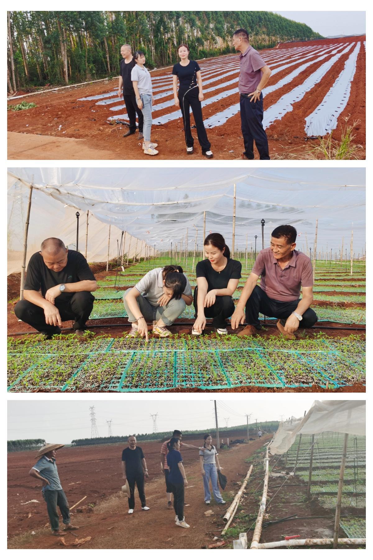 rb88随行版-rb88手机随行版登录入口