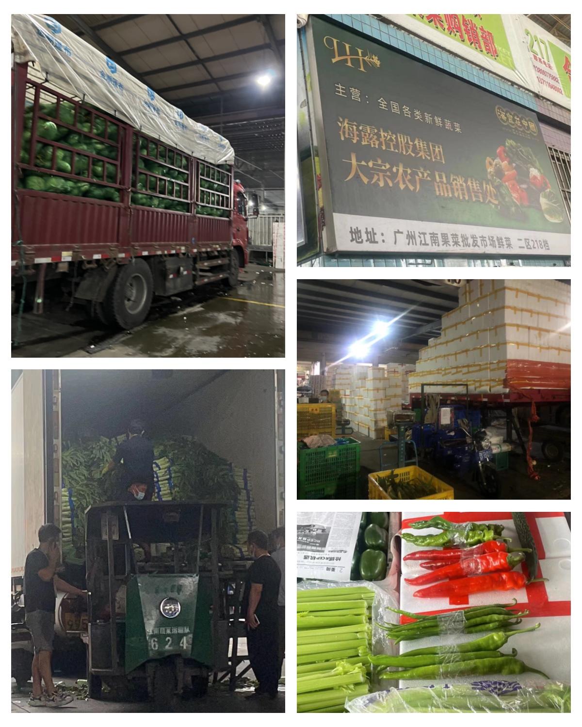 rb88随行版-rb88手机随行版登录入口