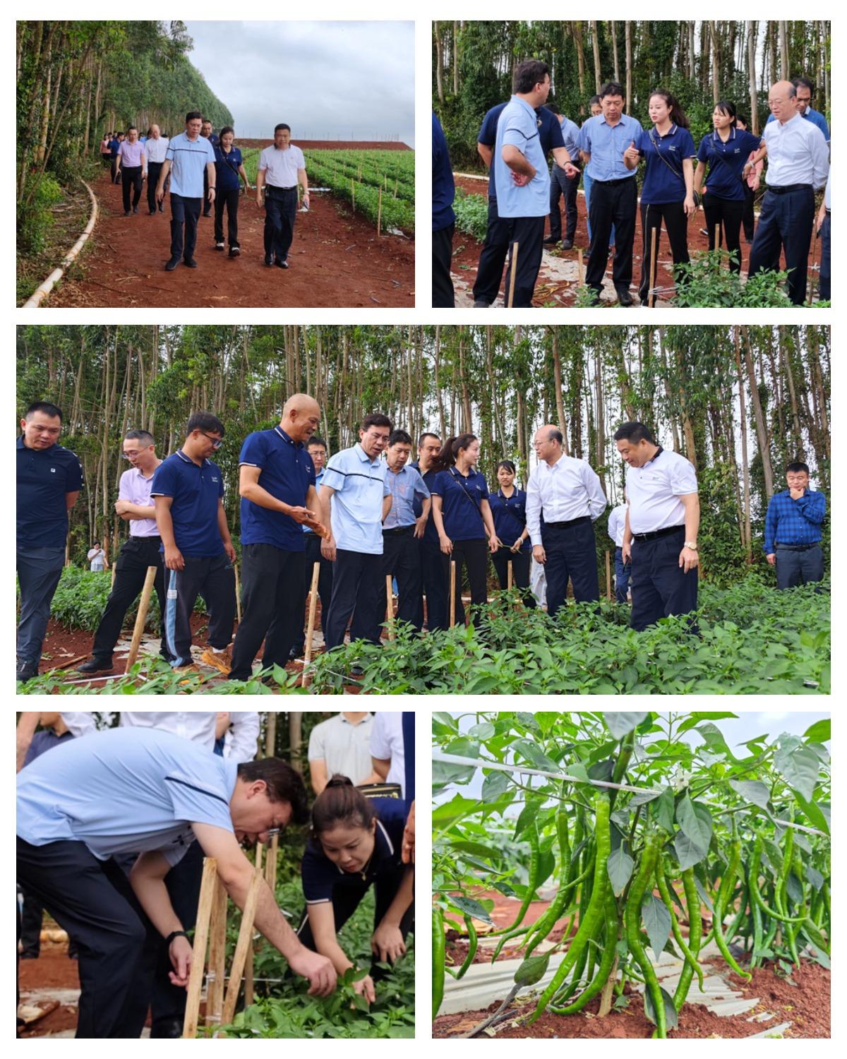 rb88随行版-rb88手机随行版登录入口