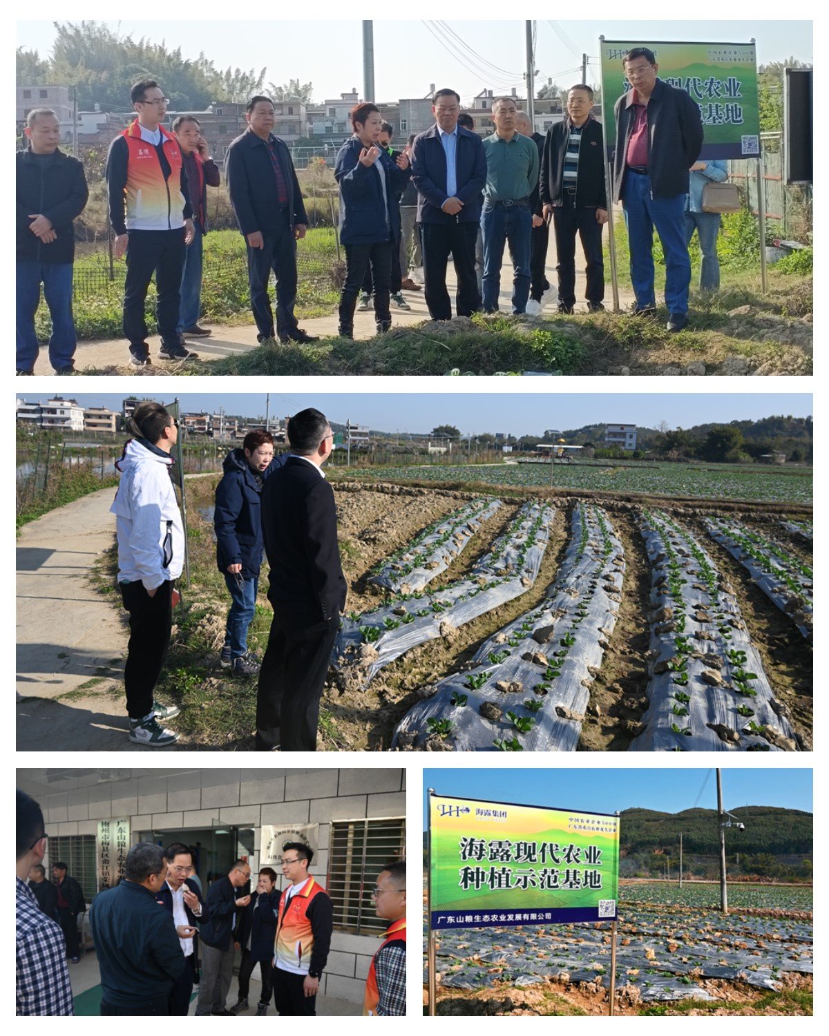 rb88随行版-rb88手机随行版登录入口