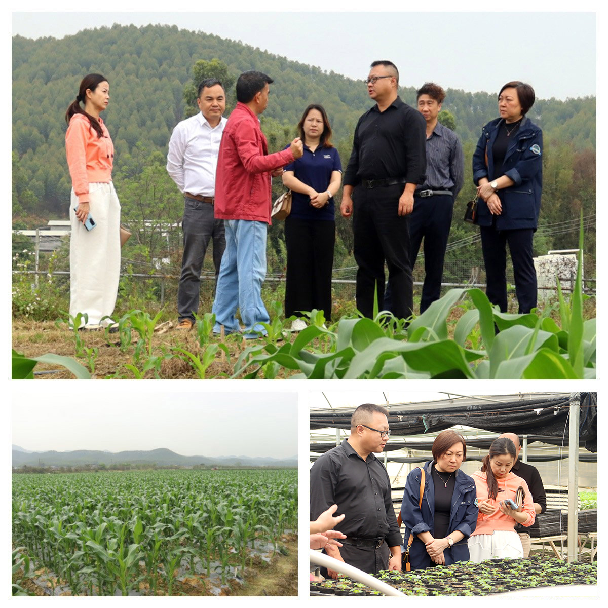 rb88随行版-rb88手机随行版登录入口