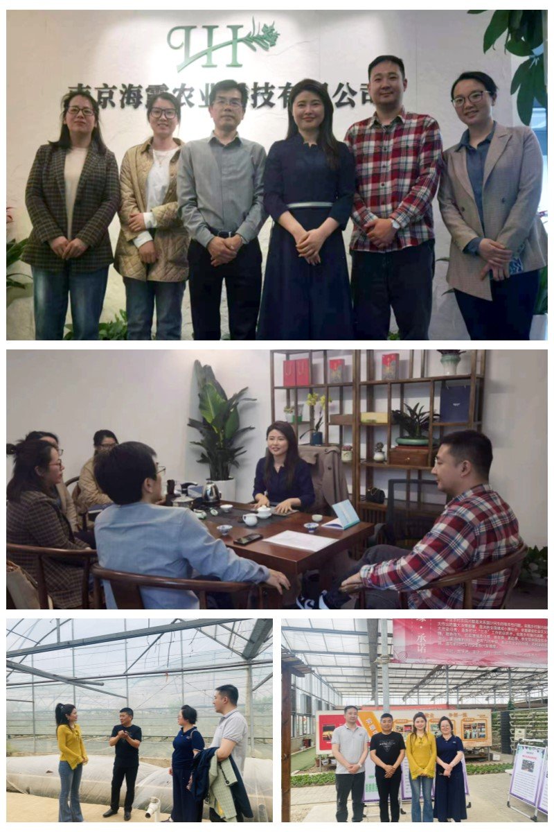 rb88随行版-rb88手机随行版登录入口