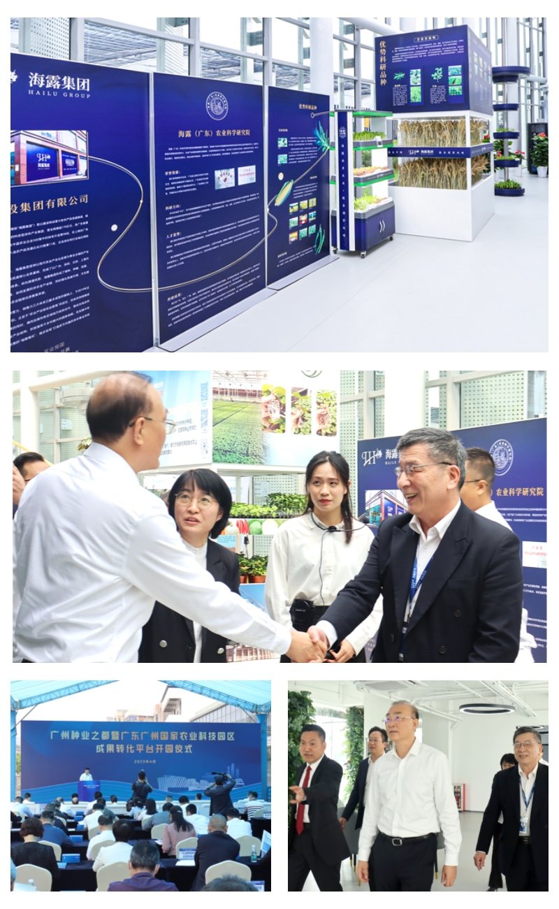 rb88随行版-rb88手机随行版登录入口