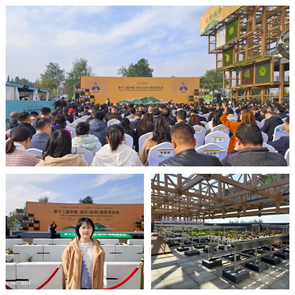 rb88随行版-rb88手机随行版登录入口