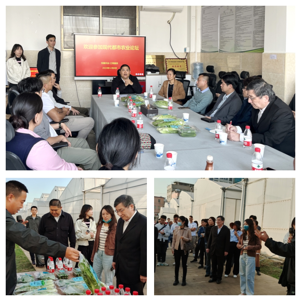 rb88随行版-rb88手机随行版登录入口