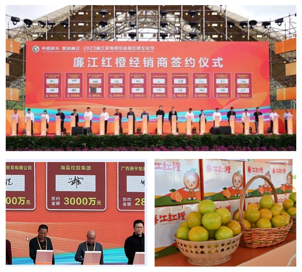 rb88随行版-rb88手机随行版登录入口