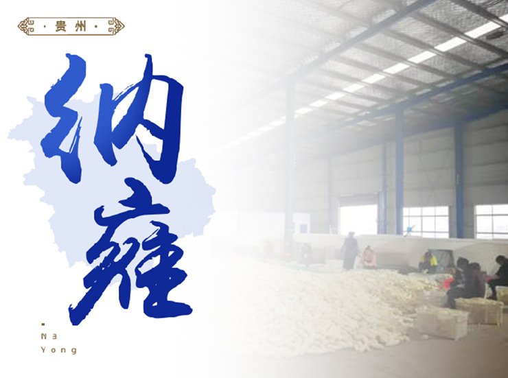 rb88随行版-rb88手机随行版登录入口