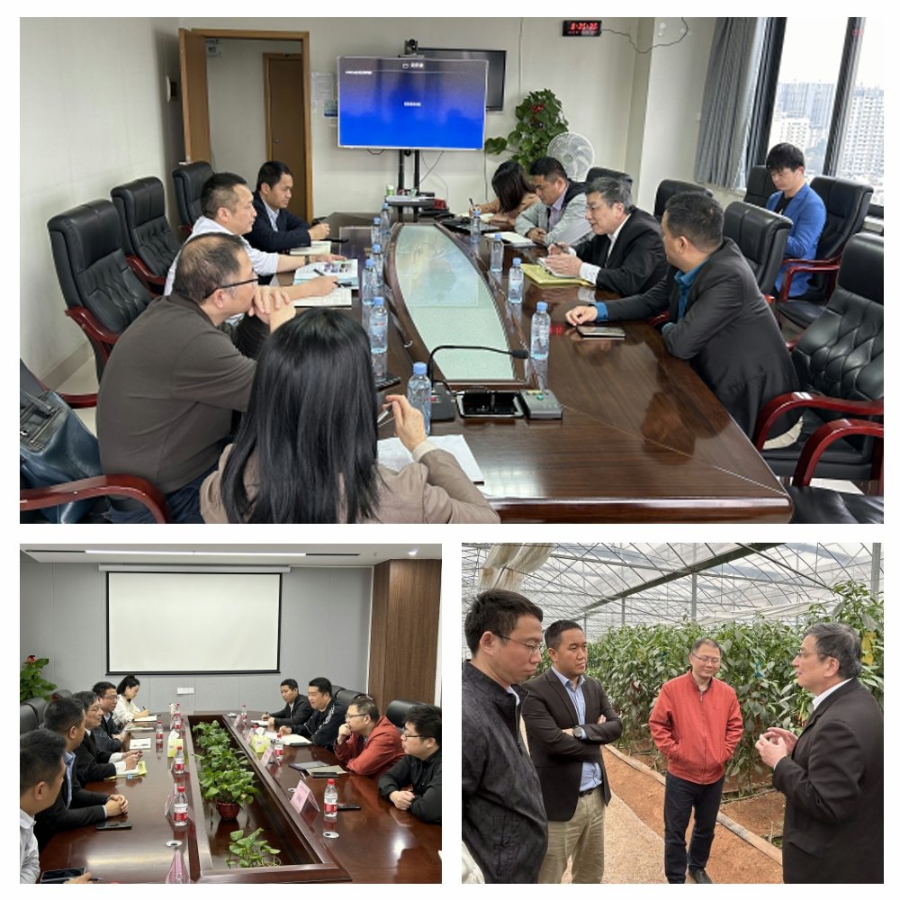 rb88随行版-rb88手机随行版登录入口