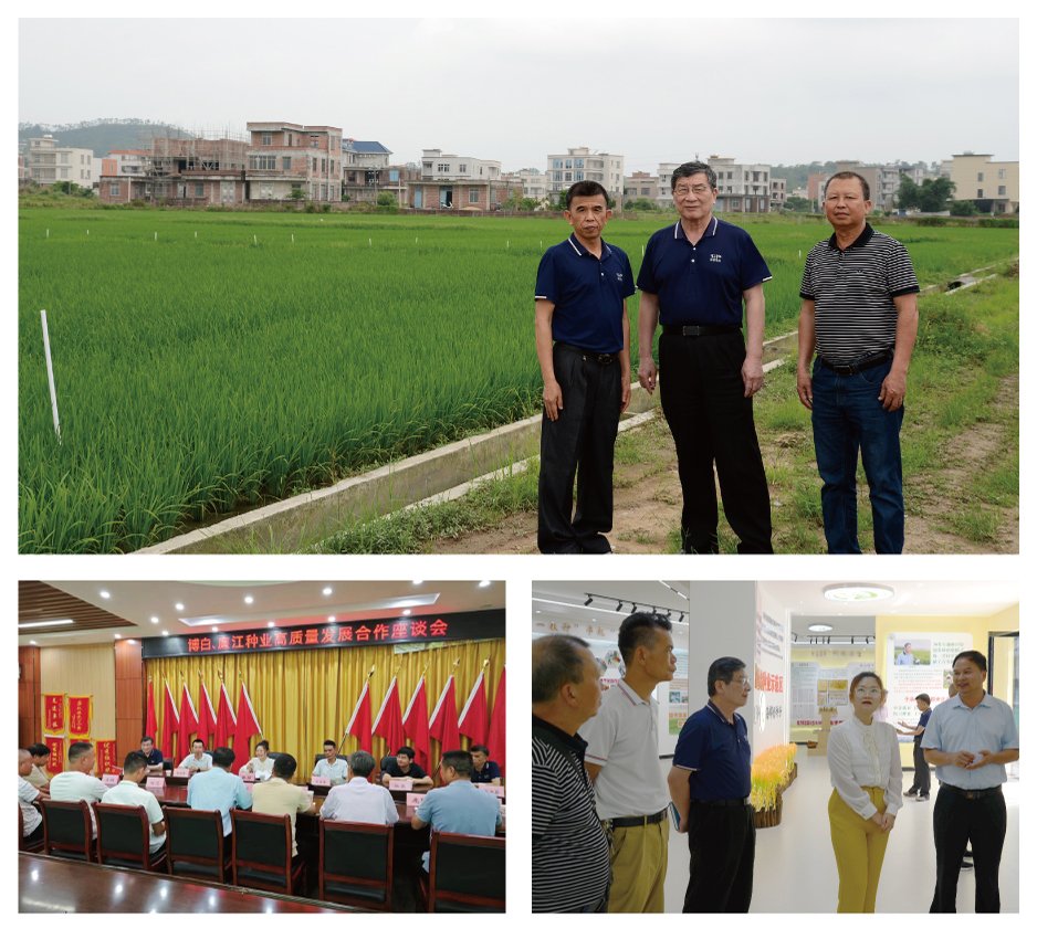 rb88随行版-rb88手机随行版登录入口