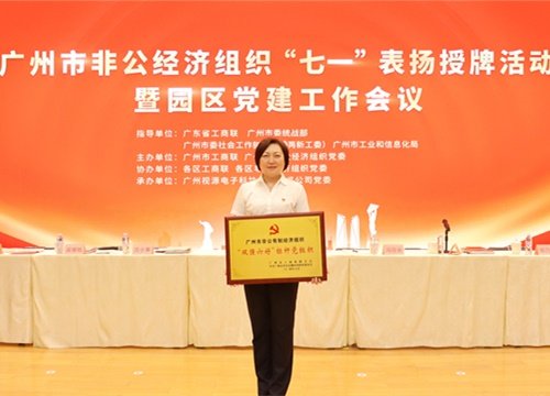 标杆引领，荣誉升级！集团党支部荣膺广州市非公有造经济组织“双强六好”标