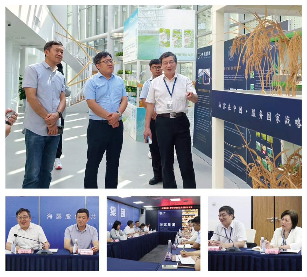 rb88随行版-rb88手机随行版登录入口