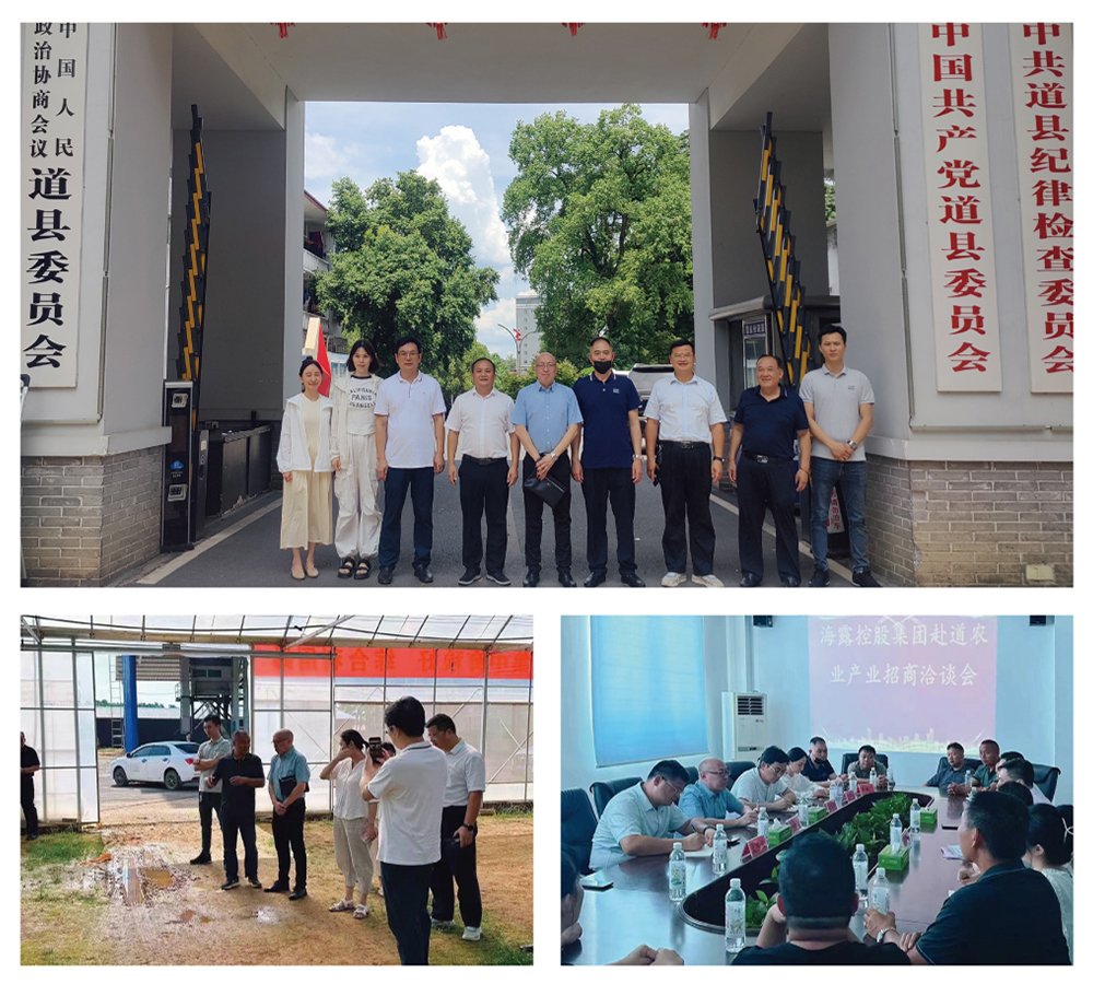 rb88随行版-rb88手机随行版登录入口