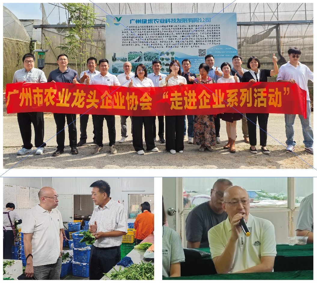 rb88随行版-rb88手机随行版登录入口