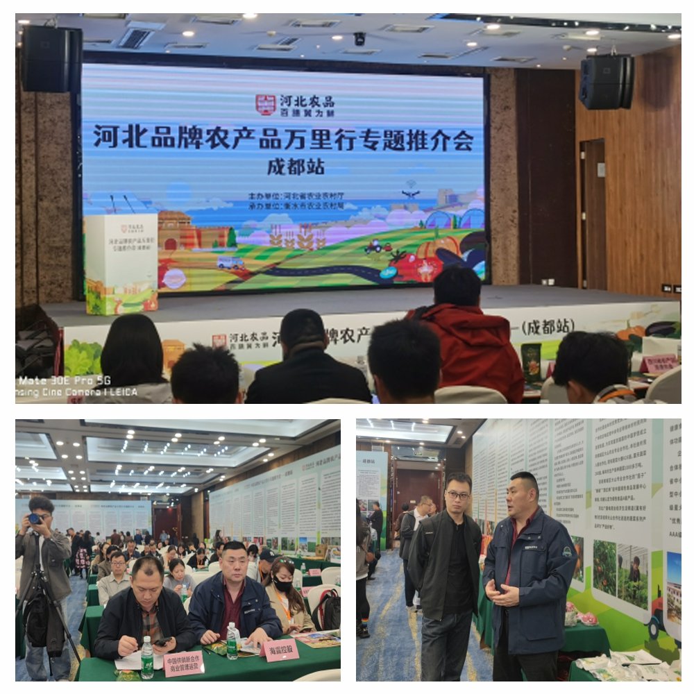 rb88随行版-rb88手机随行版登录入口