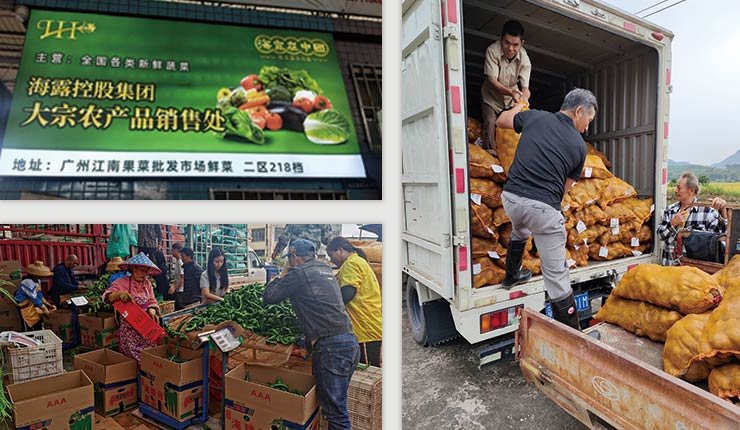 rb88随行版-rb88手机随行版登录入口