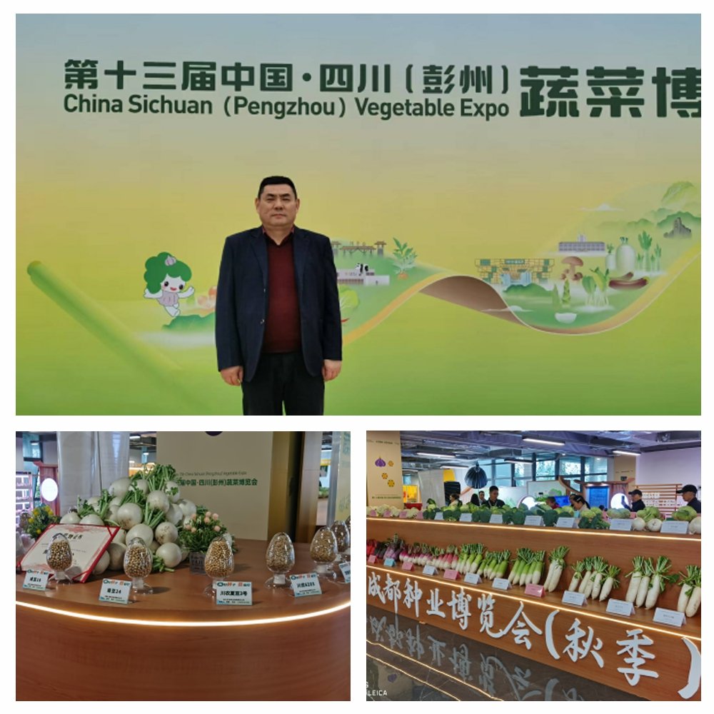 rb88随行版-rb88手机随行版登录入口