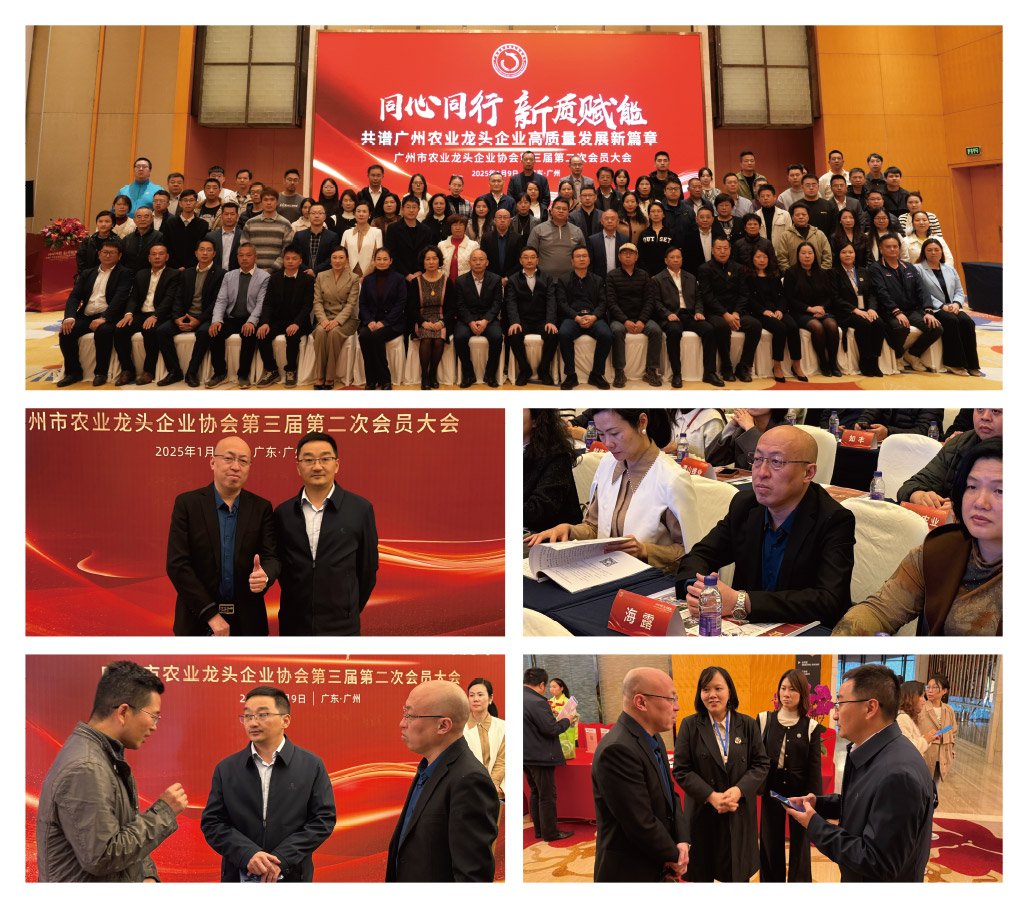 rb88随行版-rb88手机随行版登录入口