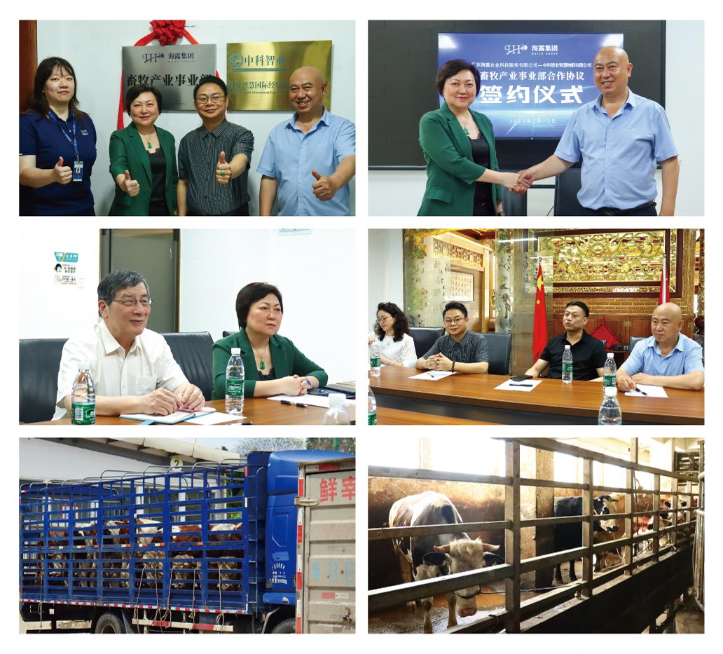 rb88随行版-rb88手机随行版登录入口