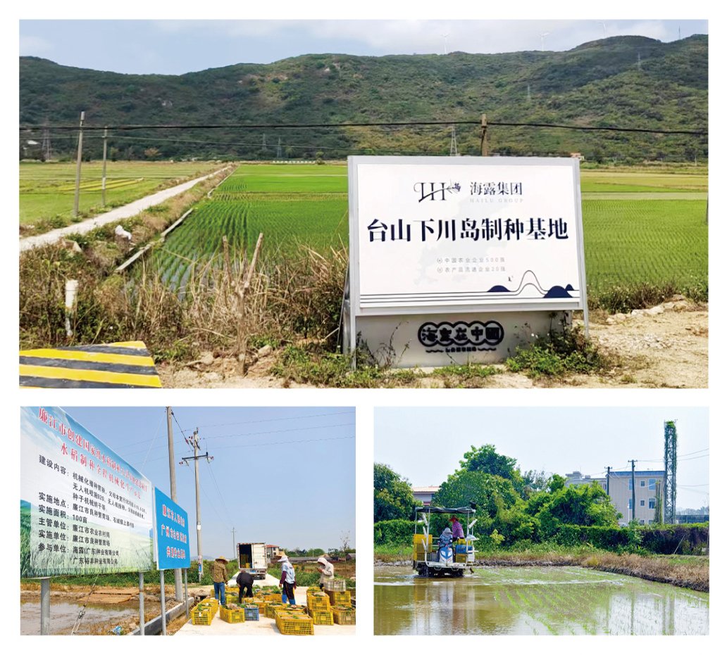 rb88随行版-rb88手机随行版登录入口