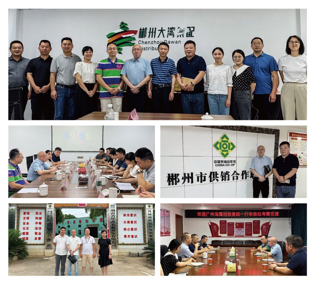 rb88随行版-rb88手机随行版登录入口