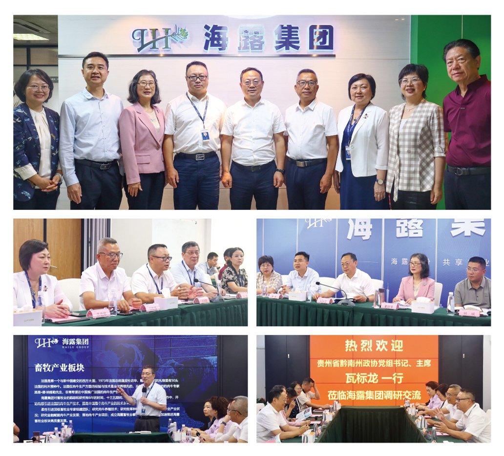 rb88随行版-rb88手机随行版登录入口