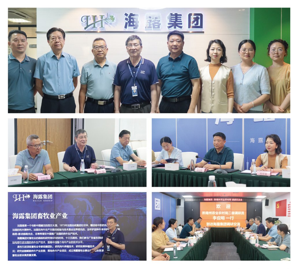 rb88随行版-rb88手机随行版登录入口