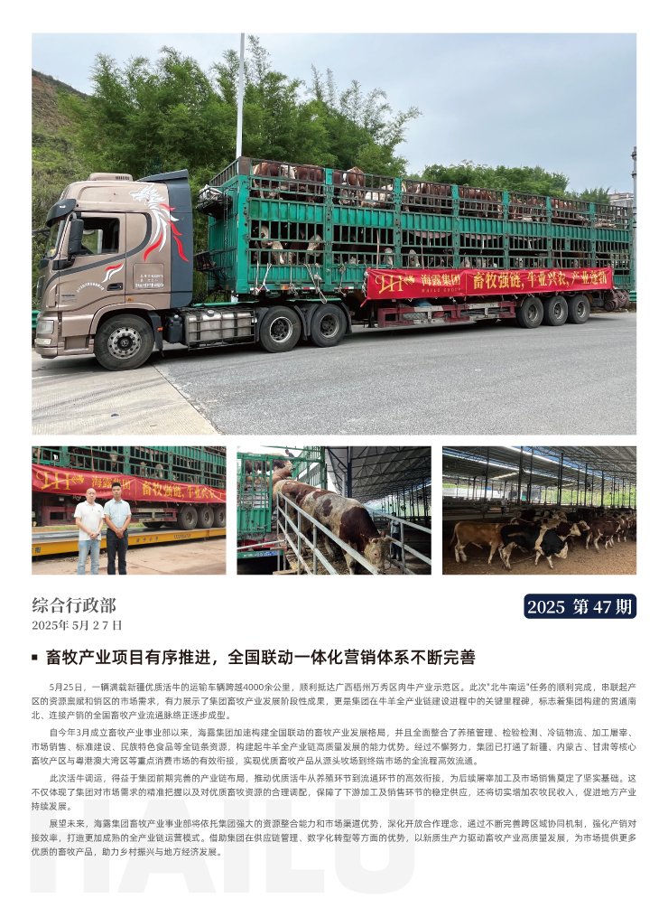 rb88随行版-rb88手机随行版登录入口