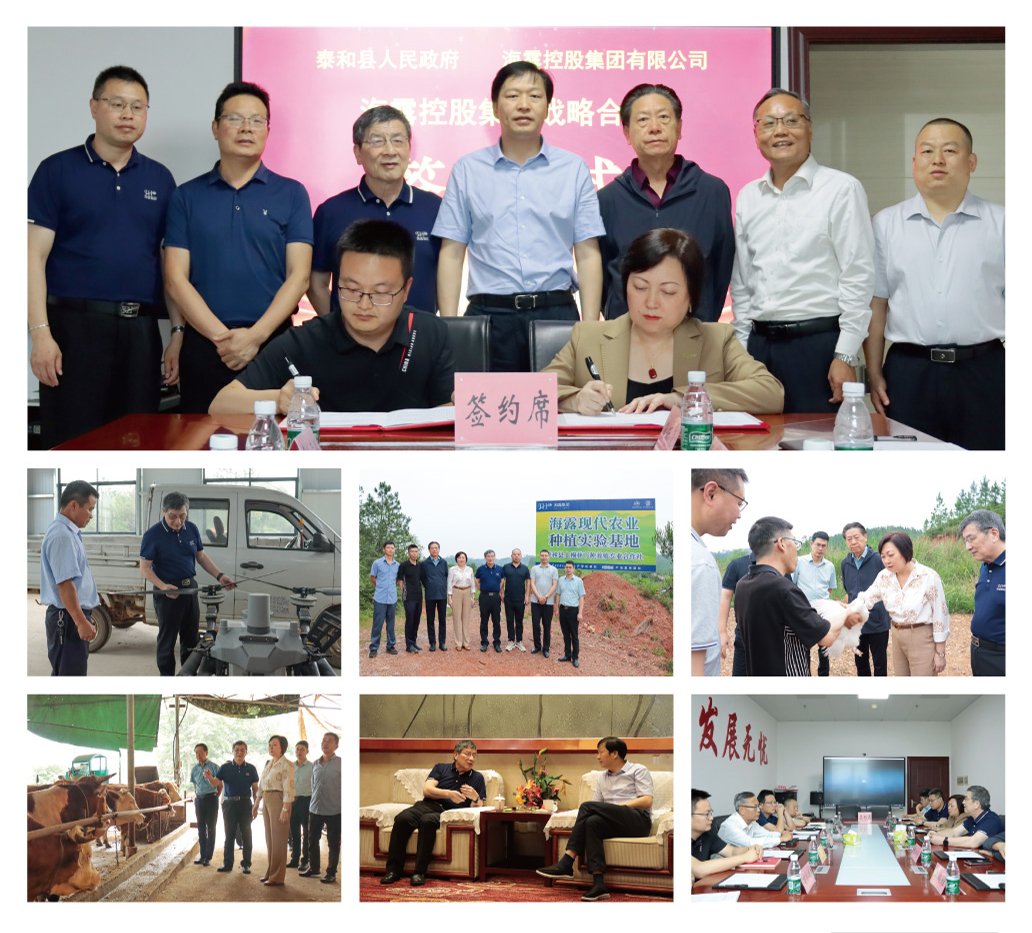 rb88随行版-rb88手机随行版登录入口