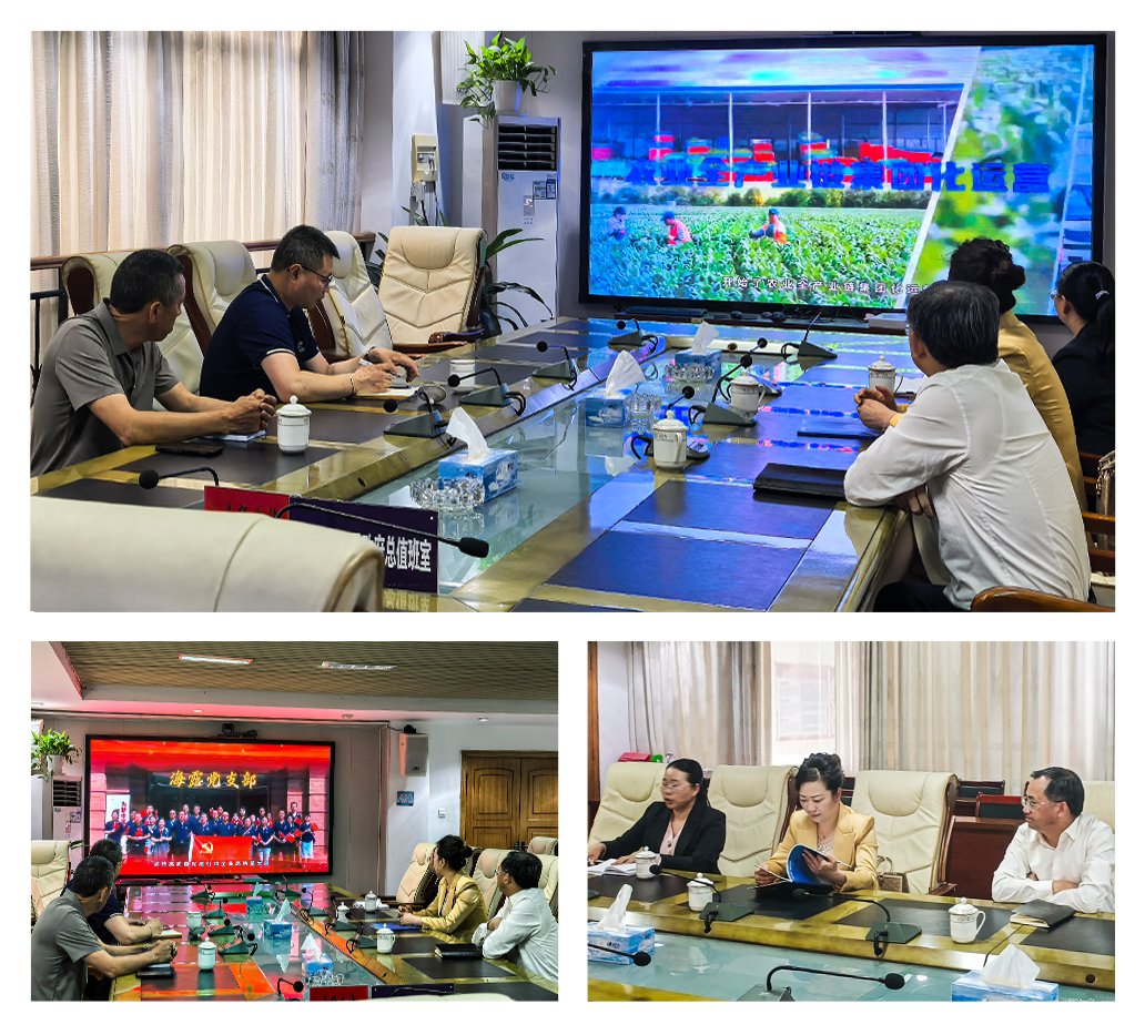 rb88随行版-rb88手机随行版登录入口