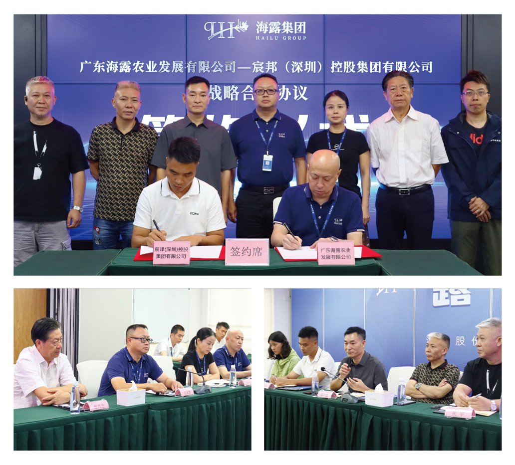 rb88随行版-rb88手机随行版登录入口