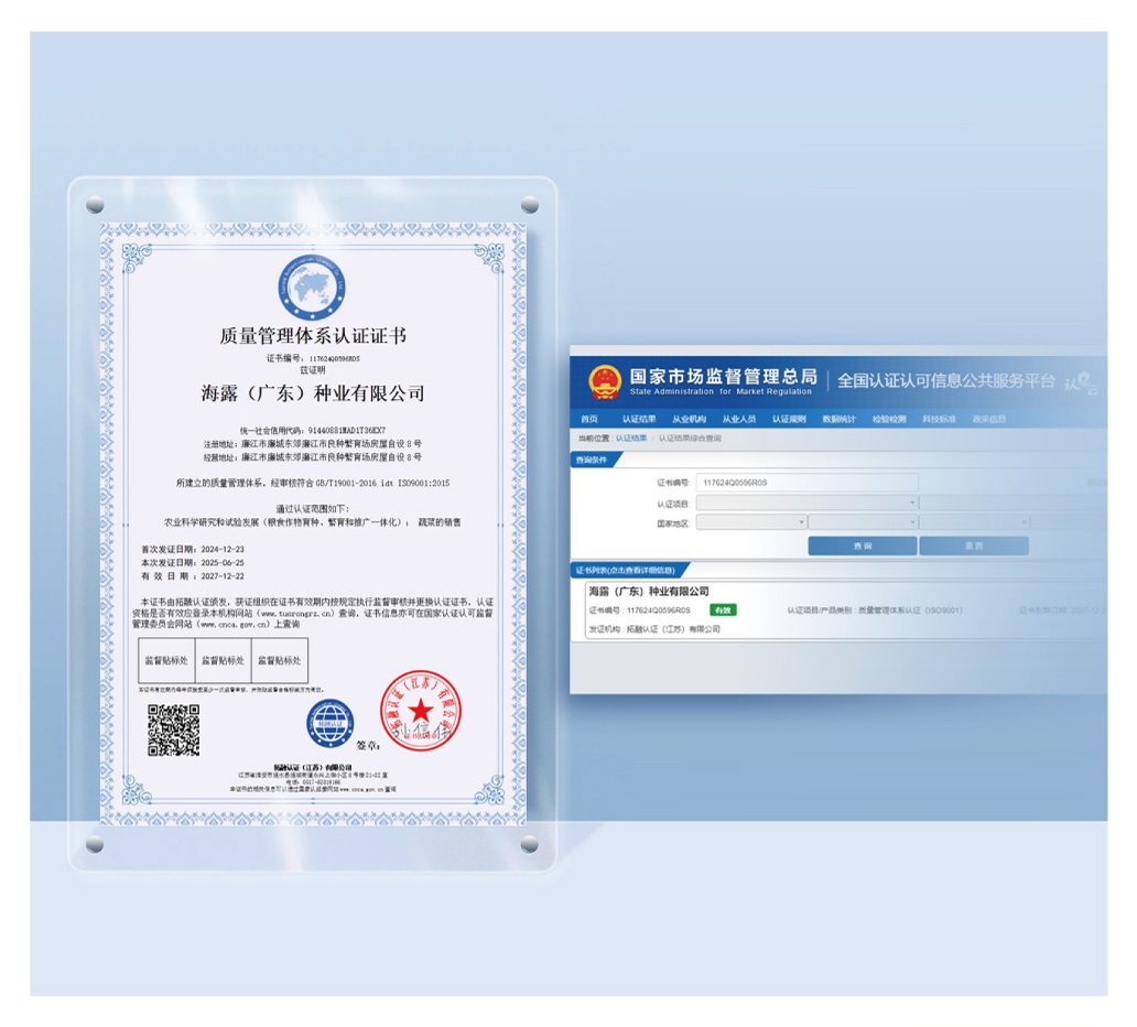 rb88随行版-rb88手机随行版登录入口