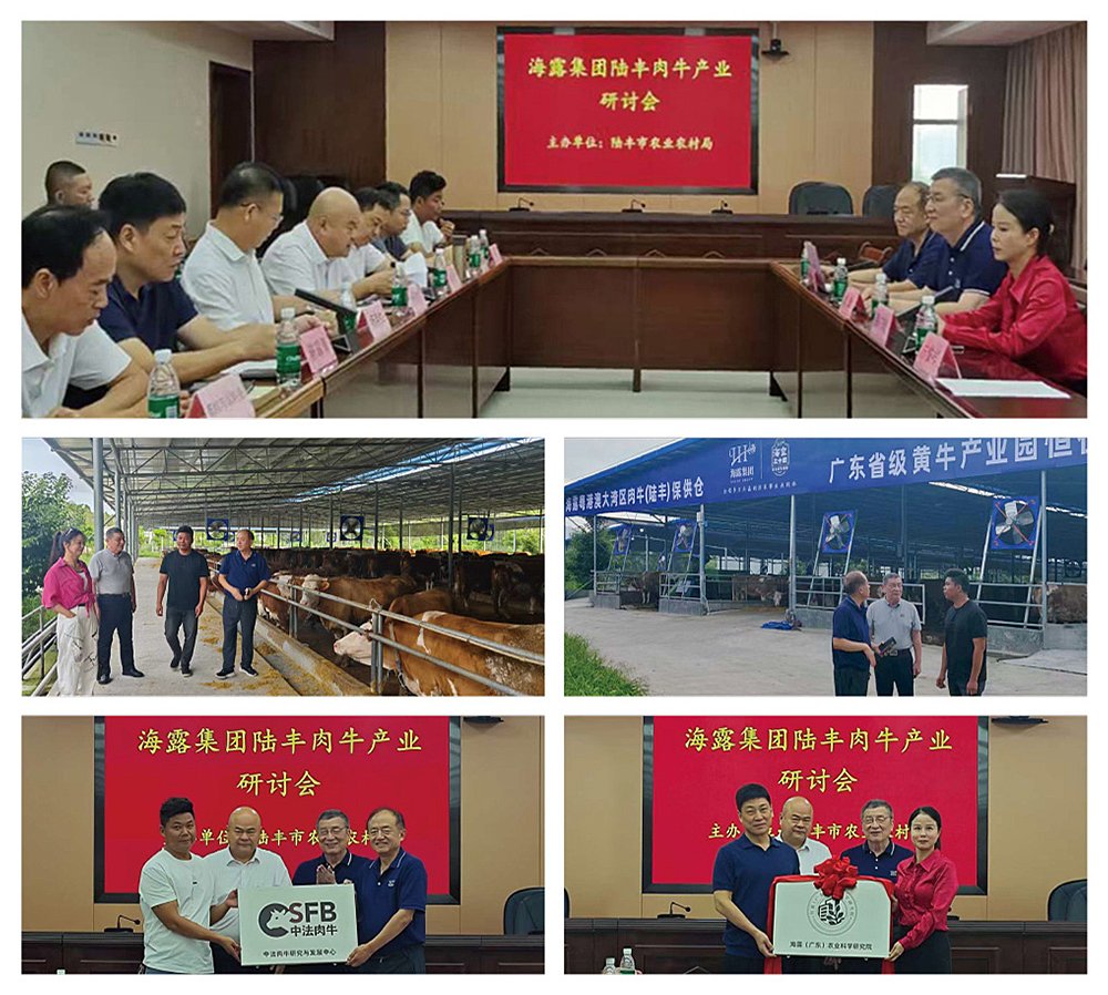 rb88随行版-rb88手机随行版登录入口