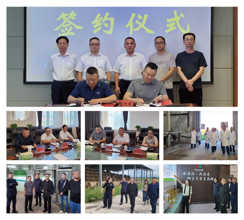 rb88随行版-rb88手机随行版登录入口